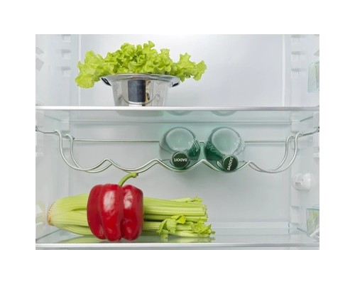 Холодильник Snaige RF58SM-S500NE