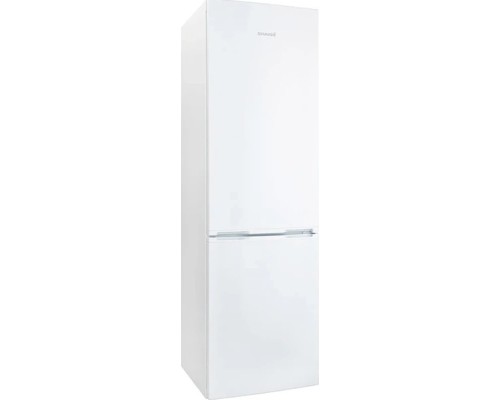 Холодильник Snaige RF58SM-S500NE