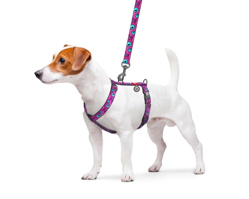 Шлея для собак WAUDOG Nylon анатомічна H-подібна з QR-паспортом 