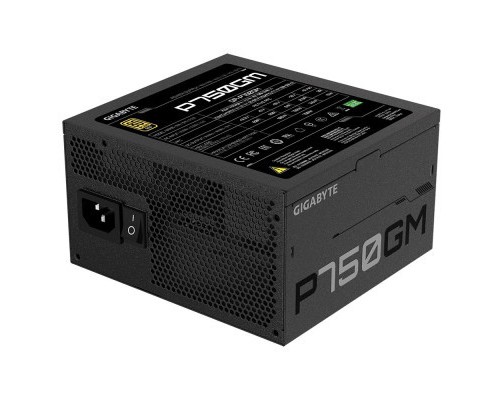 Блок живлення GIGABYTE 750W (P750GM)