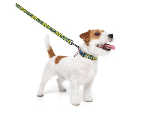 Нашийник для тварин WAUDOG Nylon з QR паспортом 