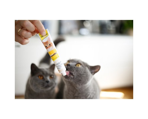 Паста для тварин GimCat DUO PASTE Multi-vitamin 12 vitamins with cheese 12 вітамінів та сир 50 г (4002064421841)
