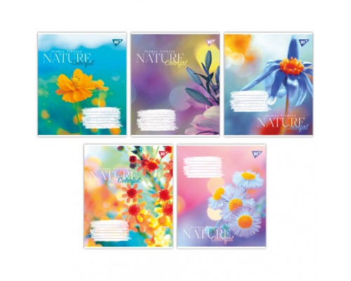 Зошит Yes А5 Nature colorful 96 аркушів лінія (767181)