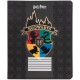 Зошит Kite Harry Potter, 18 аркушів, клітинка (HP25-236)