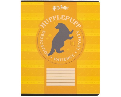 Зошит Kite Harry Potter, 18 аркушів, клітинка (HP25-236)