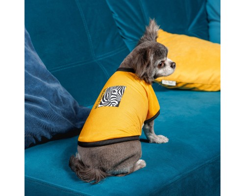 Футболка для тварин Pet Fashion Jessica XS2 жовта (4823082441273)