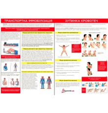 Автомобільна аптечка Poputchik 02-070-М