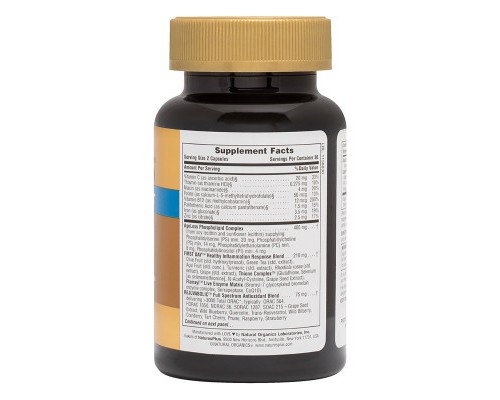 Вітамінно-мінеральний комплекс Natures Plus Комплекс Для Підтримки Мозку, AgeLoss Brain Support, 60 капс (NTP8011)