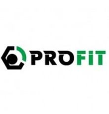 Повітряний фільтр для автомобіля Profit 1512-4283