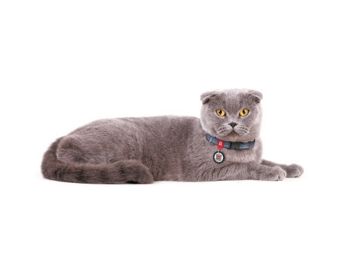 Нашийник для тварин WAUDOG Re-cotton з QR паспортом для котів та дрібних порід собак XS синій (164012)