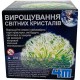 Набір для експериментів 4М Набір для вирощування світних кристалів (00-03918/EU/ML)