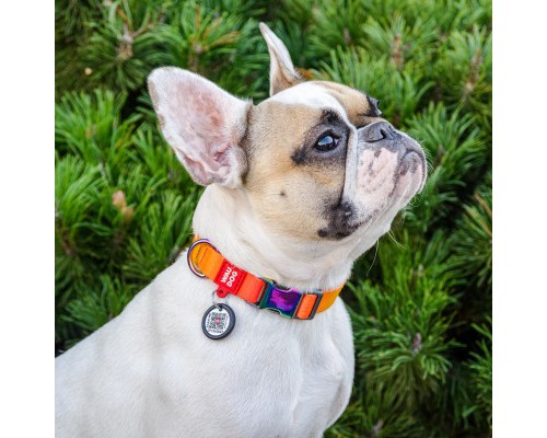 Нашийник для тварин WAUDOG Recycled з QR паспортом L Ш 25 мм Д 33-49 см помаранчевий (46534)