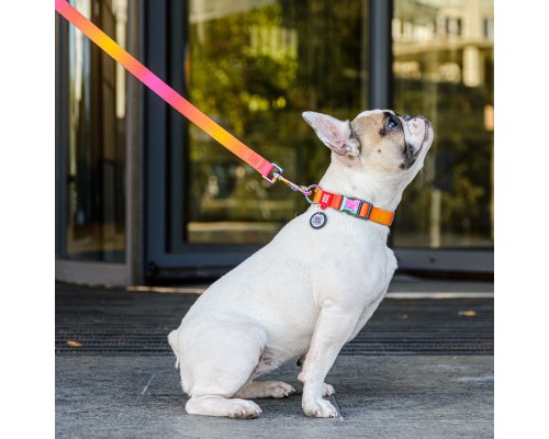 Нашийник для тварин WAUDOG Recycled з QR паспортом L Ш 25 мм Д 33-49 см помаранчевий (46534)