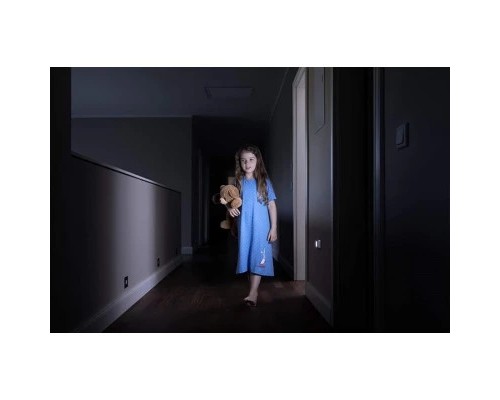 Нічник LEDVANCE NIGHTLUX HALL SI 4,5V (4058075260672)