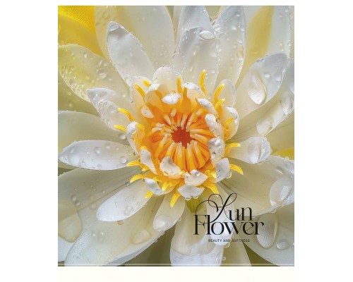 Зошит Школярик Sun Flower 48 аркушів клітинка (048-3456K)