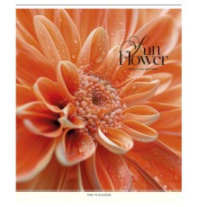 Зошит Школярик Sun Flower 48 аркушів клітинка (048-3456K)