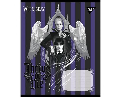 Зошит Yes Wednesday Таємничі уроки А5 48 аркушів клітинка (768269)