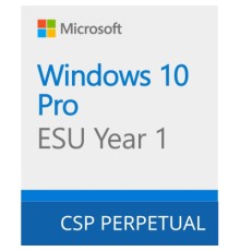 Операційна система Microsoft Windows 10 ESU Year 1 (2025 - 2026) Extended Security Updates (ESU) (DG7GMGF0SSGZ_0004)