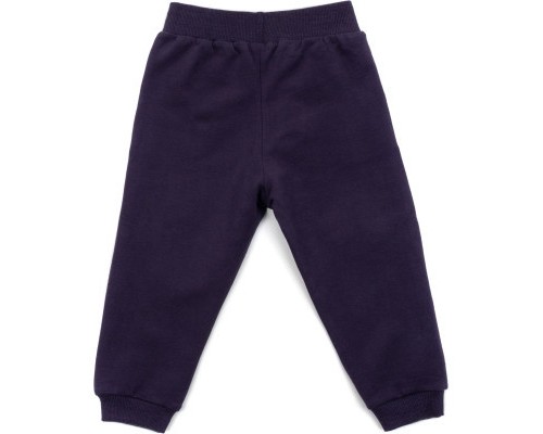 Набір дитячого одягу Breeze з ведмедиками (16102-98G-purple)
