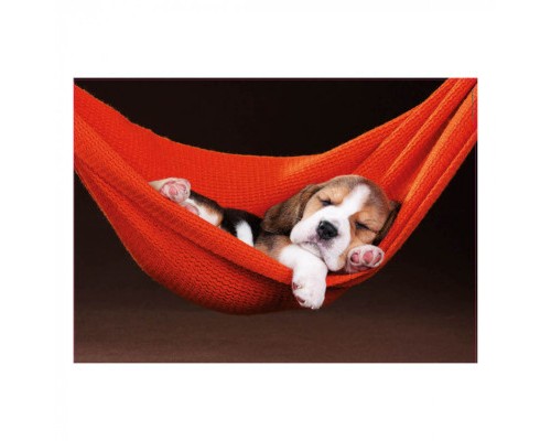 Пазл Educa Сон в гамаку 500 елементів (6425278)