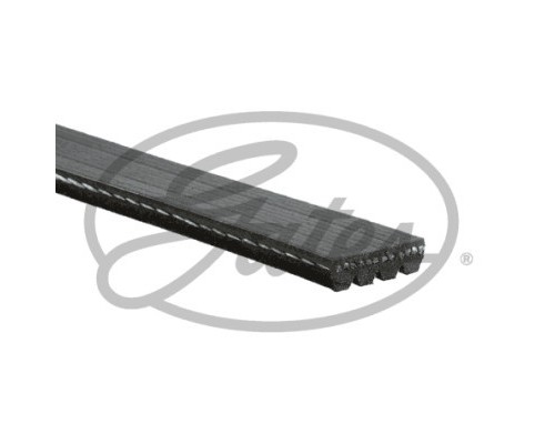 Поліклиновий ремінь Gates 4PK613