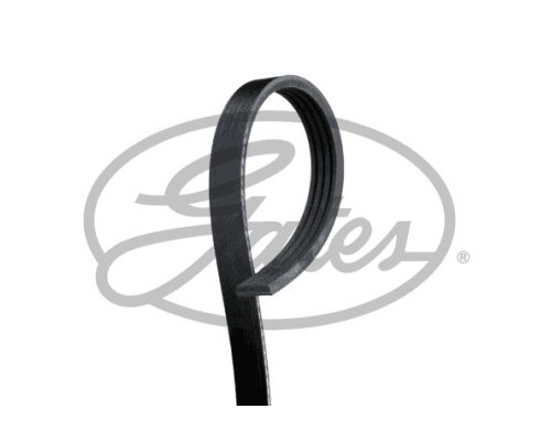 Поліклиновий ремінь Gates 4PK613