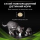 Сухий корм для кішок Purina Pro Plan Veterinary Diets Hypoallergenic 325 г (7613035154438/7613287597526)
