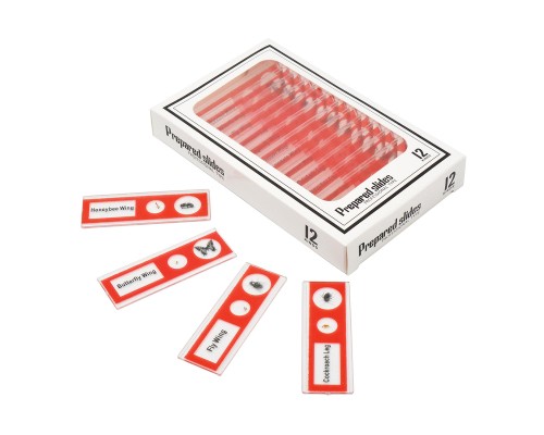 Набір мікропрепаратів Sigeta Entrance Будова комах (12 шт) (65122)