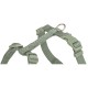 Шлея для собак Trixie Premium H-harness L 60-87 см 25 мм Світло-зелена (4053032673083)