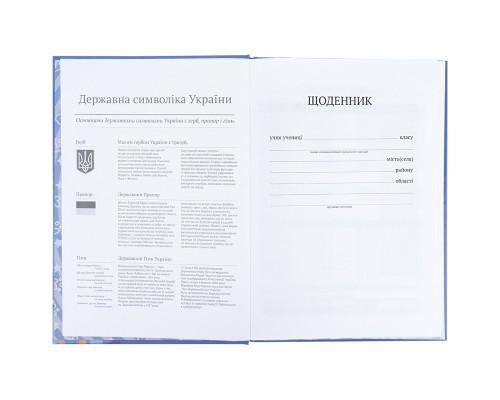 Щоденник шкільний Kite Rachael Hale, тверда обкладинка (R25-262)