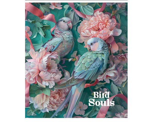 Зошит Школярик Bird Souls 48 аркушів клітинка (048-3457K)