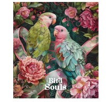 Зошит Школярик Bird Souls 48 аркушів клітинка (048-3457K)