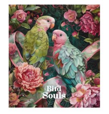 Зошит Школярик Bird Souls 48 аркушів клітинка (048-3457K)