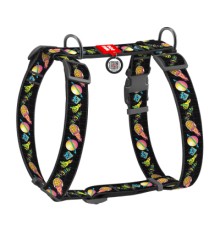 Шлея для собак WAUDOG Nylon анатомічна H-подібна з QR-паспортом 