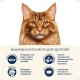 Сухий корм для кішок Home Food For large breeds з телятиною, лососем та в’яленими томатами 10 кг (4820235021191)