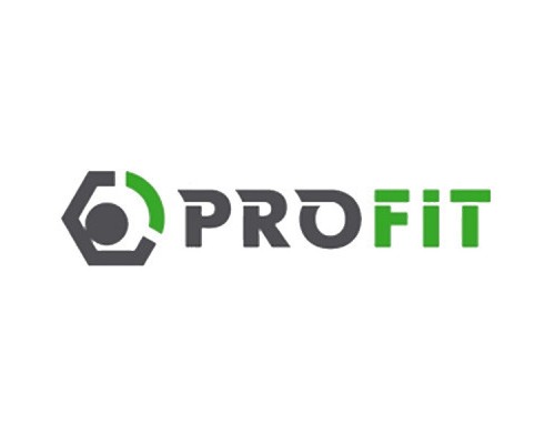 Повітряний фільтр для автомобіля Profit 1512-4017
