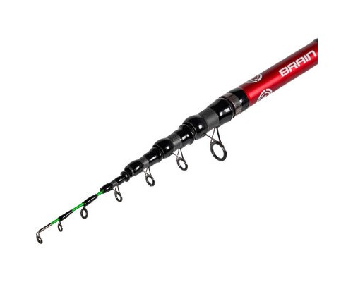 Вудилище Brain Classic Tele Feeder 3.00m max 160g (1858.46.73)