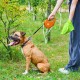 Повідок для собак WAUDOG R-leash з контейнером для пакетів L до 40 кг 5 м помаранчевий (26294)