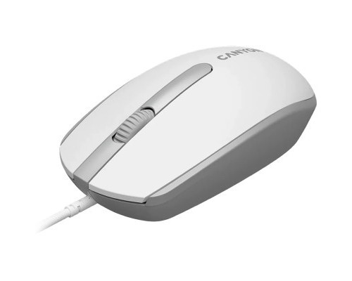 Мишка Canyon M-10 USB White Grey (CNE-CMS10WG)