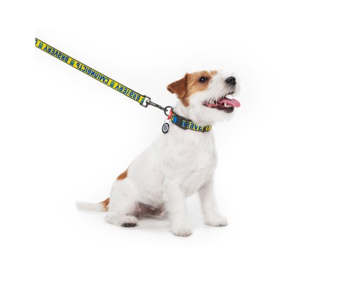 Нашийник для тварин WAUDOG Nylon з QR паспортом 