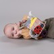 Розвиваюча іграшка Taf Toys кубик колекції Садочок у місті - Їжачок і бурячок (13095)
