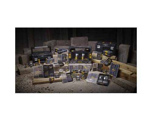 Набір біт Stanley FatMax, Pozidriv, Pz2, L 25 мм, 20 шт, кейс (STA88567)