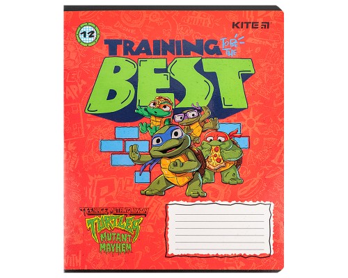 Зошит Kite Ninja Turtles, 12 аркушів, клітинка (NT24-232)