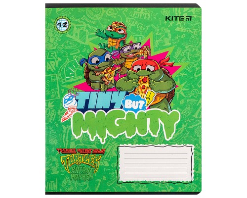 Зошит Kite Ninja Turtles, 12 аркушів, клітинка (NT24-232)