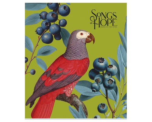 Зошит Школярик Birds 96 аркушів клітинка (096-3410K)