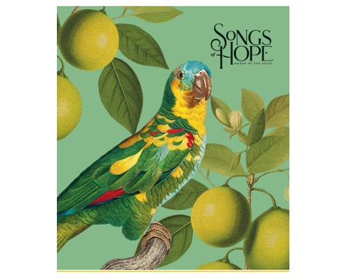 Зошит Школярик Birds 96 аркушів клітинка (096-3410K)