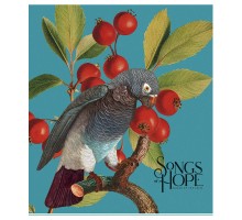 Зошит Школярик Birds 96 аркушів клітинка (096-3410K)
