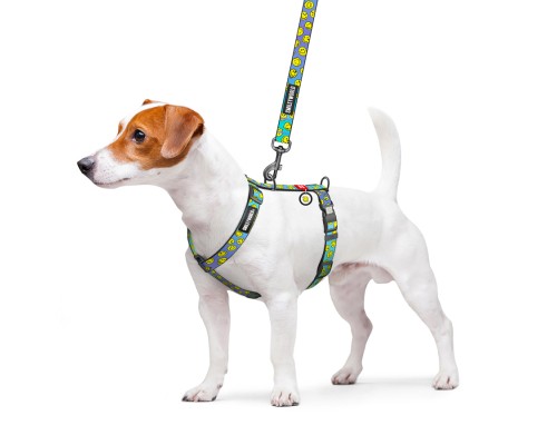 Шлея для собак WAUDOG Nylon анатомічна H-подібна з QR-паспортом 