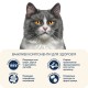 Сухий корм для кішок Home Food For sterilised з куркою та лівером 10 кг (4820235020651)