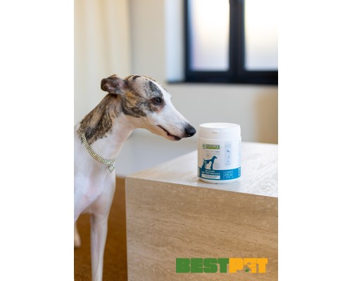 Пробіотична добавка для тварин Nature's Protection Recovery & Performance для котів і собак 250 г (CAN63553)